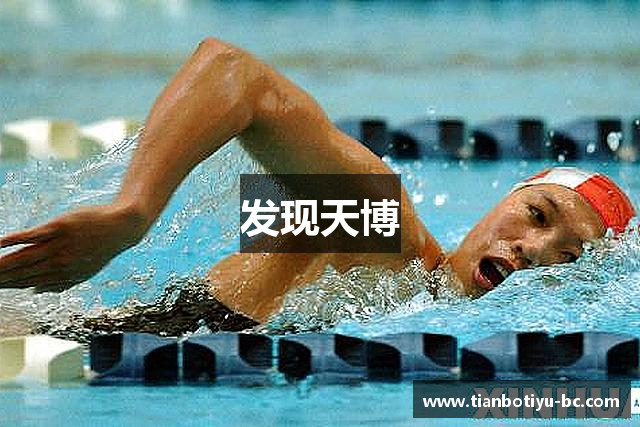 发现天博